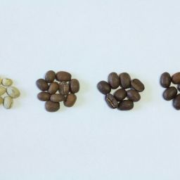 different coffee beans