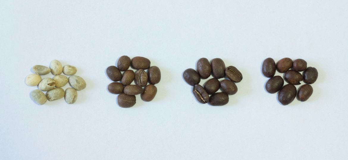 different coffee beans