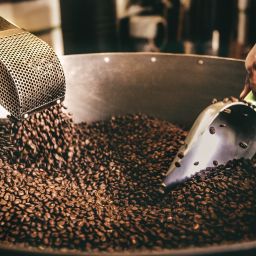 Does Roasting Coffee Beans Reduce Caffeine