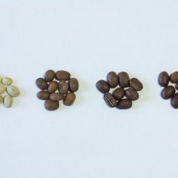 Best Coffee Beans Review