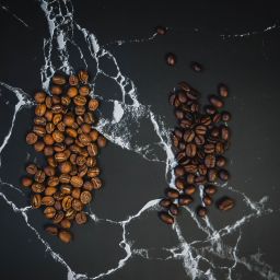 robusta and arabica coffee