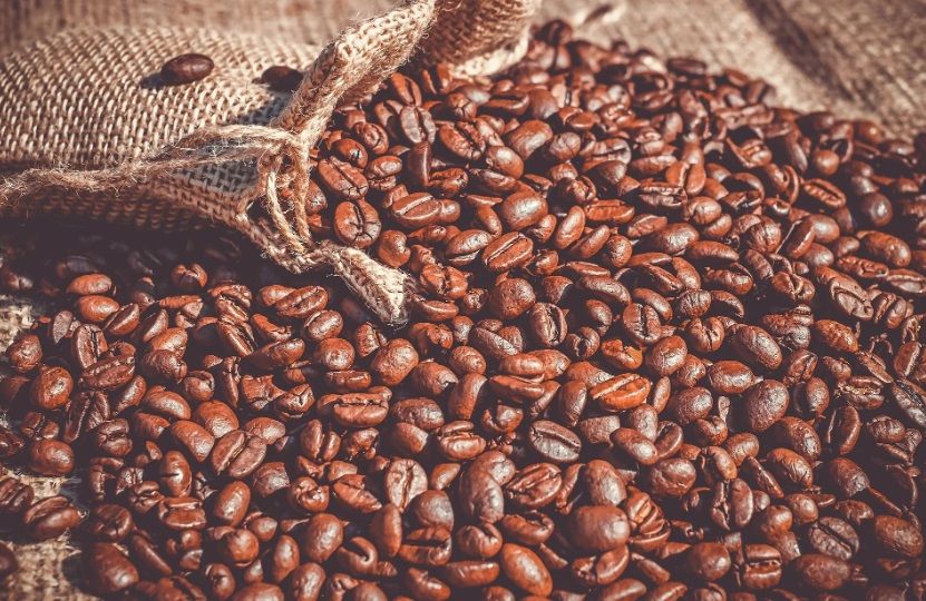 Best Coffee Beans For Coffee Shop