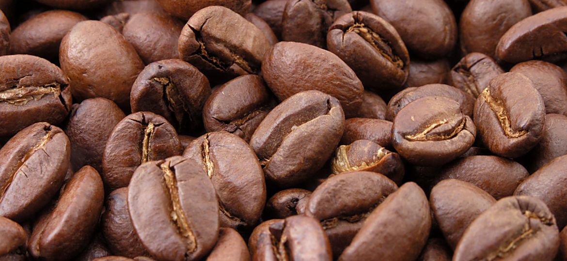 Best Type Of Coffee Beans For Cold Brew