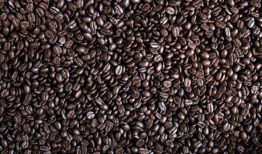 Ethiopian Coffee Beans Wholesale