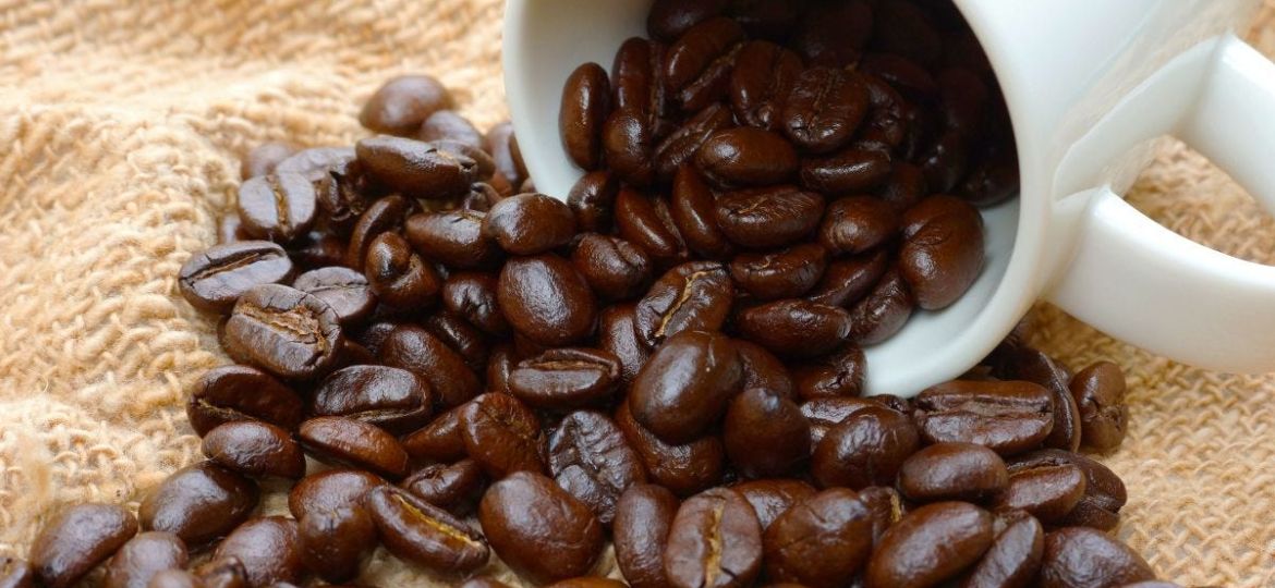 Freshest Coffee Beans