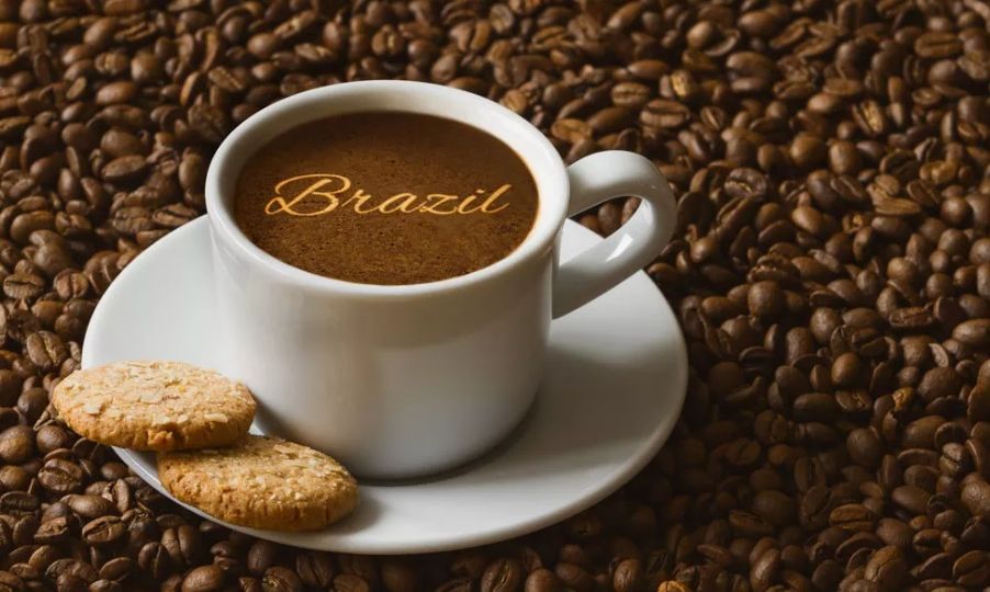 Best Brazilian Coffee Beans