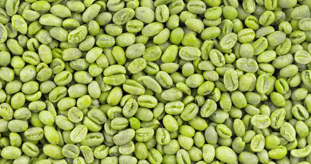 How To Use Green Coffee Beans For Weight Loss