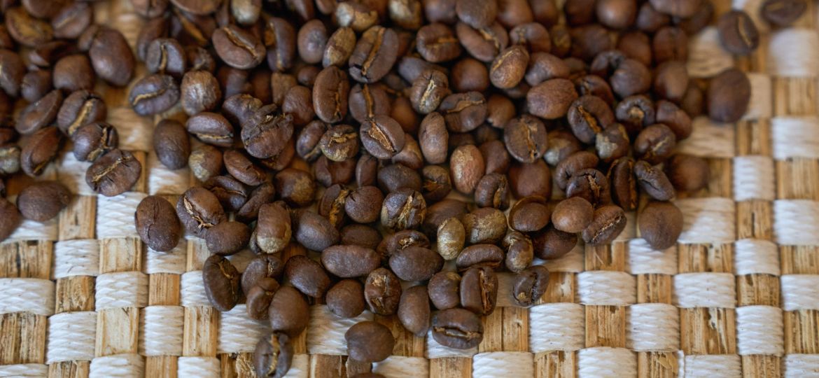 Pacamara Coffee Beans