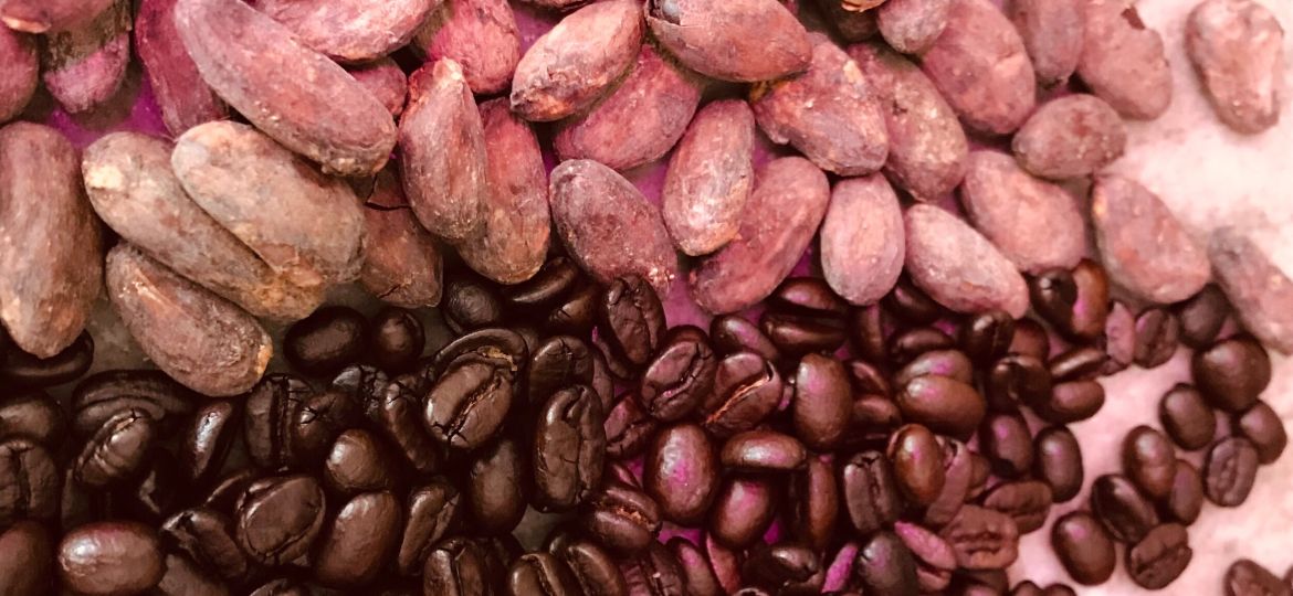 Coffee Vs Chocolate Beans