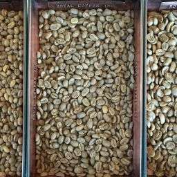 Density Of Coffee Beans