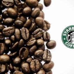 Does Starbucks Use Gmo Coffee Beans