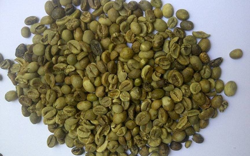 Indonesia Robusta Green Coffee Beans