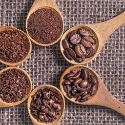 Fair Trade Dark Roast Coffee