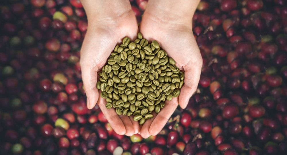 Raw Coffee Beans Suppliers