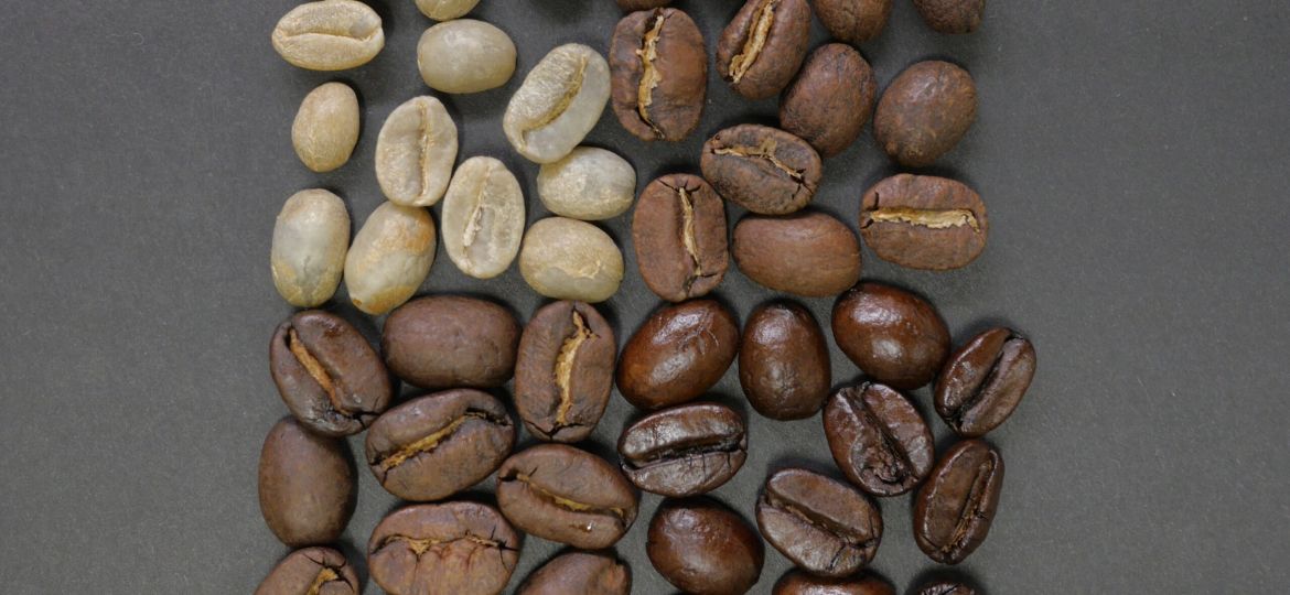 Organic Coffee Beans Wholesale