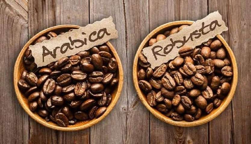 What Are The Two Most Common Coffee Beans