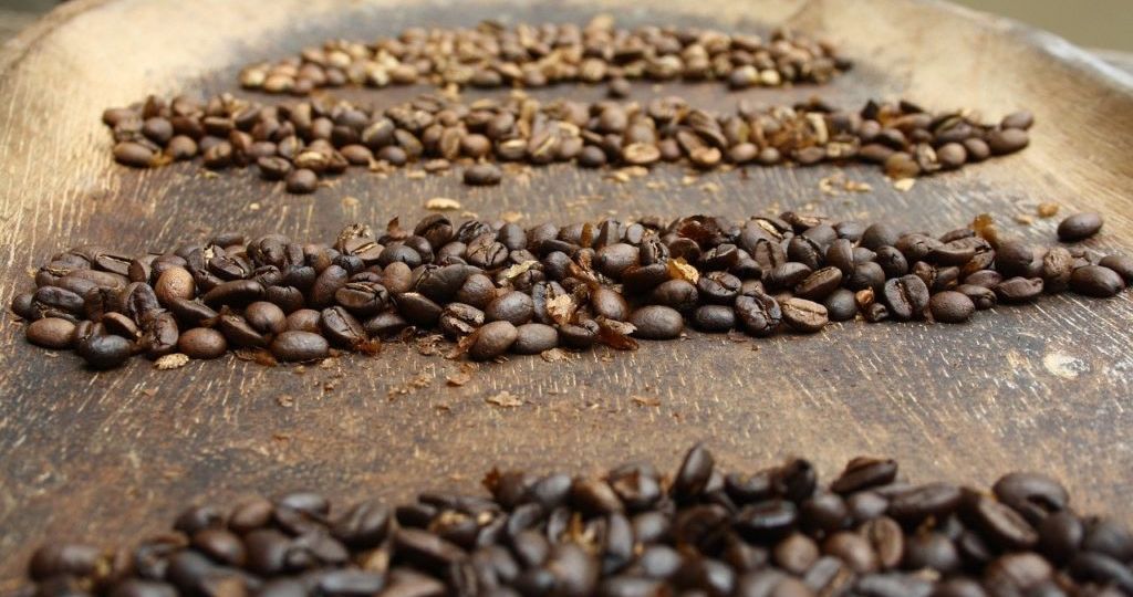 What Coffee Brands Use Robusta Beans