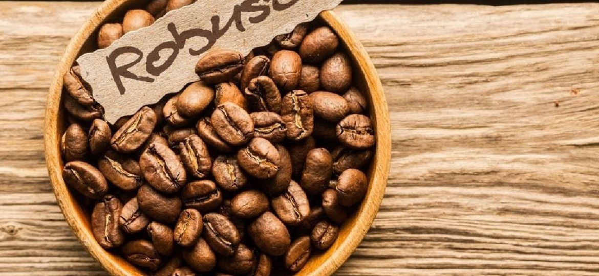 Where To Buy Robusta Coffee Beans