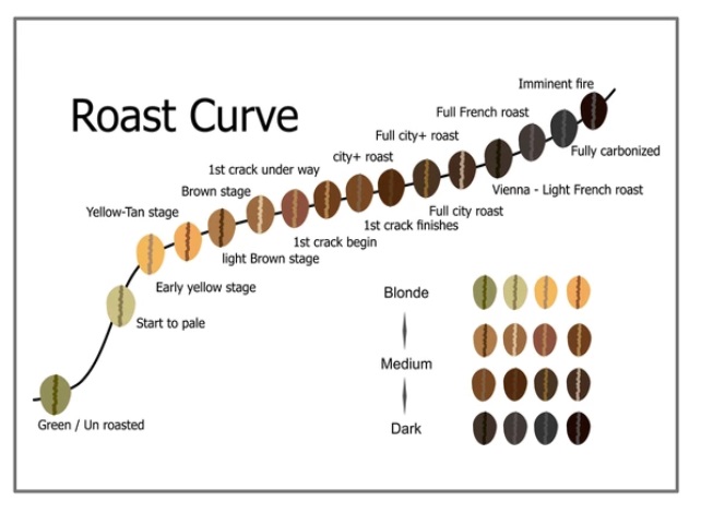 Coffee Bean Roast Color Chart