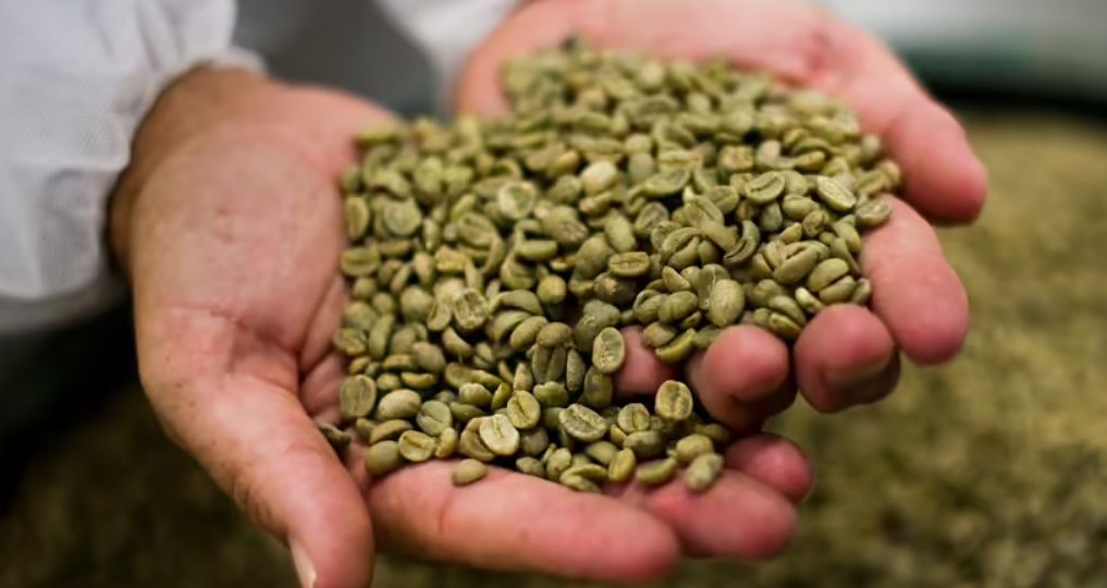 How To Roast Green Coffee Beans