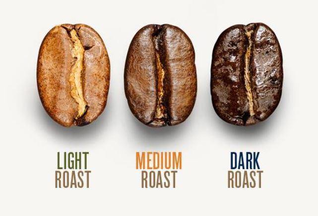 How Much Caffeine Is In A Single Coffee Bean