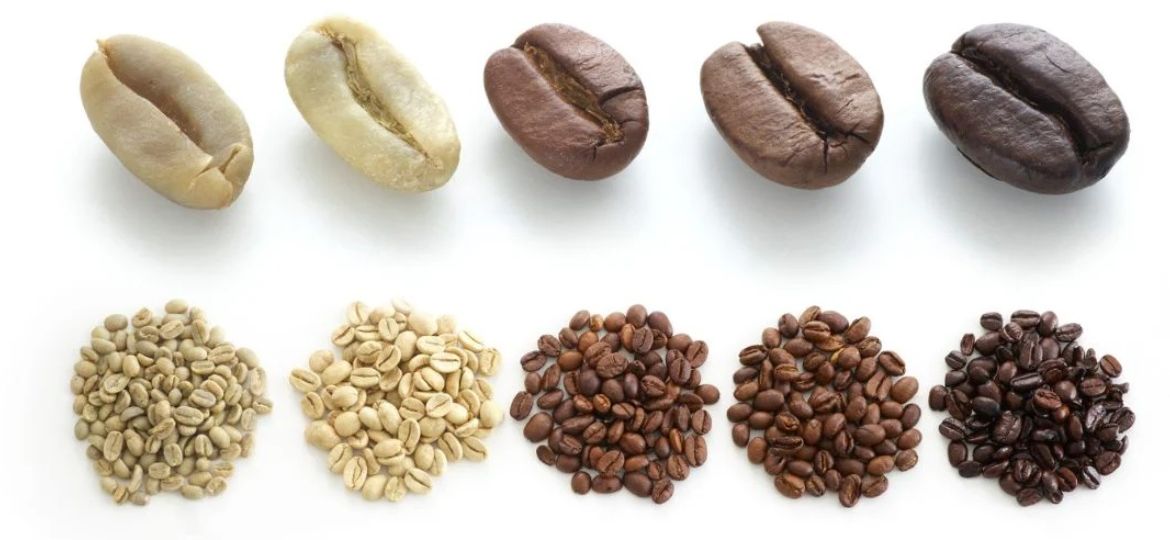 What is The Difference Between Dark And Medium Roast Coffee